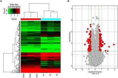 Circular RNA hsa_circ_0000848 Promotes Trophoblast Cell Migration and Invasion and Inhibits Cell Apoptosis by Sponging hsa-miR-6768-5p